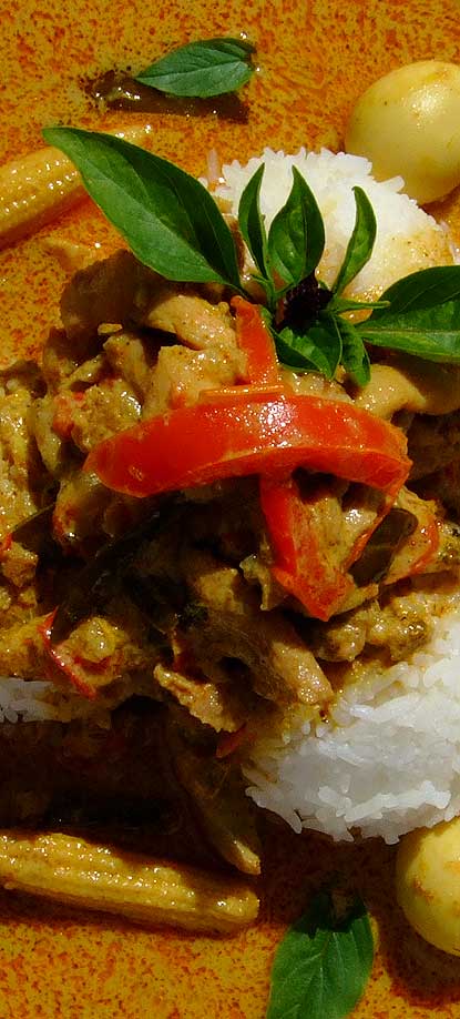 Thai Chicken Curry